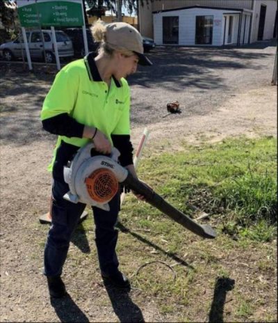 Mower Mate SA blowing service