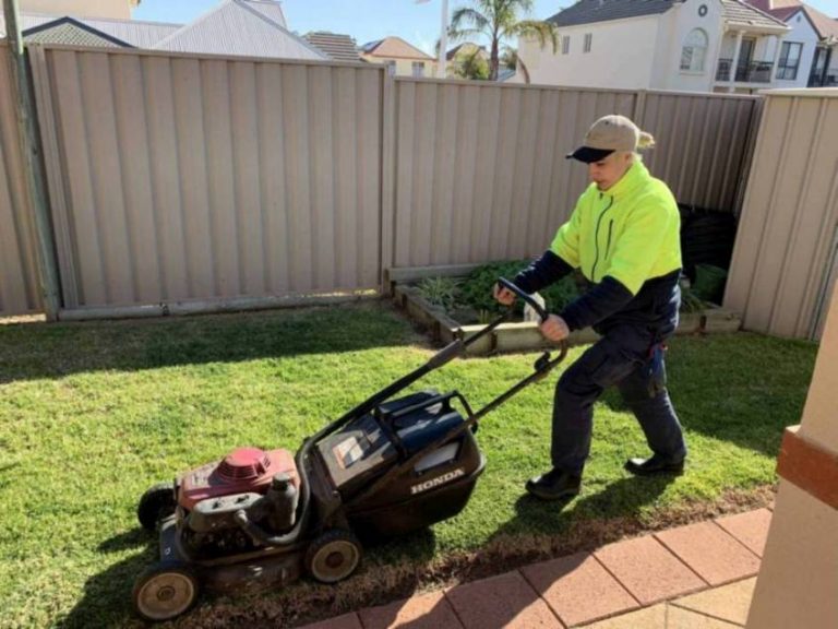 Mower Mate SA professional lawn mowing service