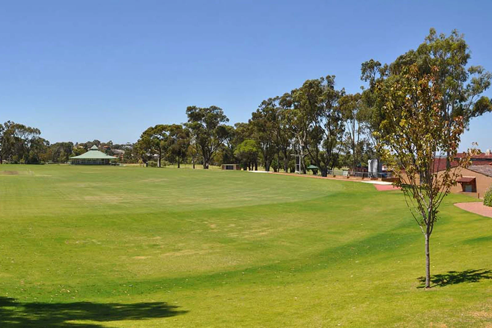commercial-weed-spraying-south-australia
